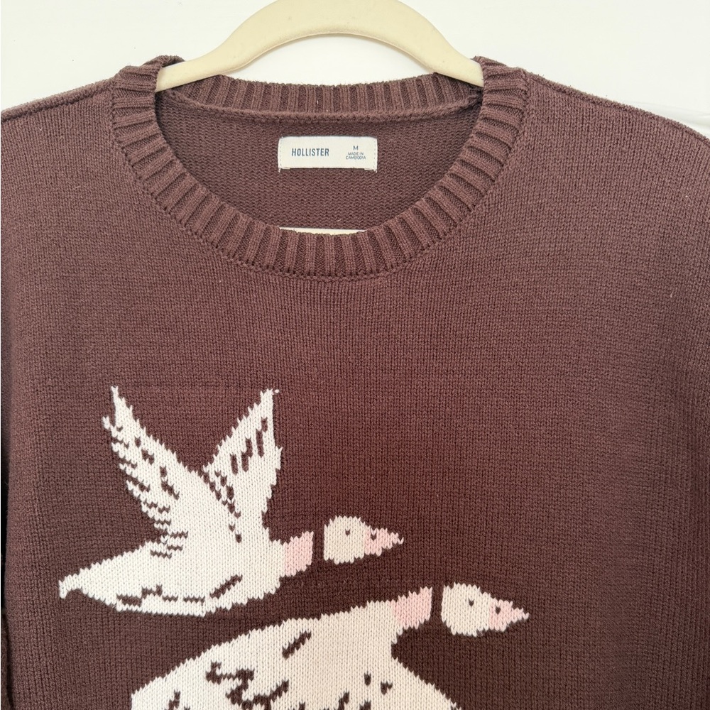 Hollister Brown Crewneck Sweater with White/Pink Duck Motif - Picture 2 of 5